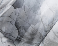 SC-Chiffon Lotus White & Black | Chiffon Scarf