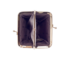 FRMP-SWAN | Swan  Rush and Iris Coin Clasp Frame Purse